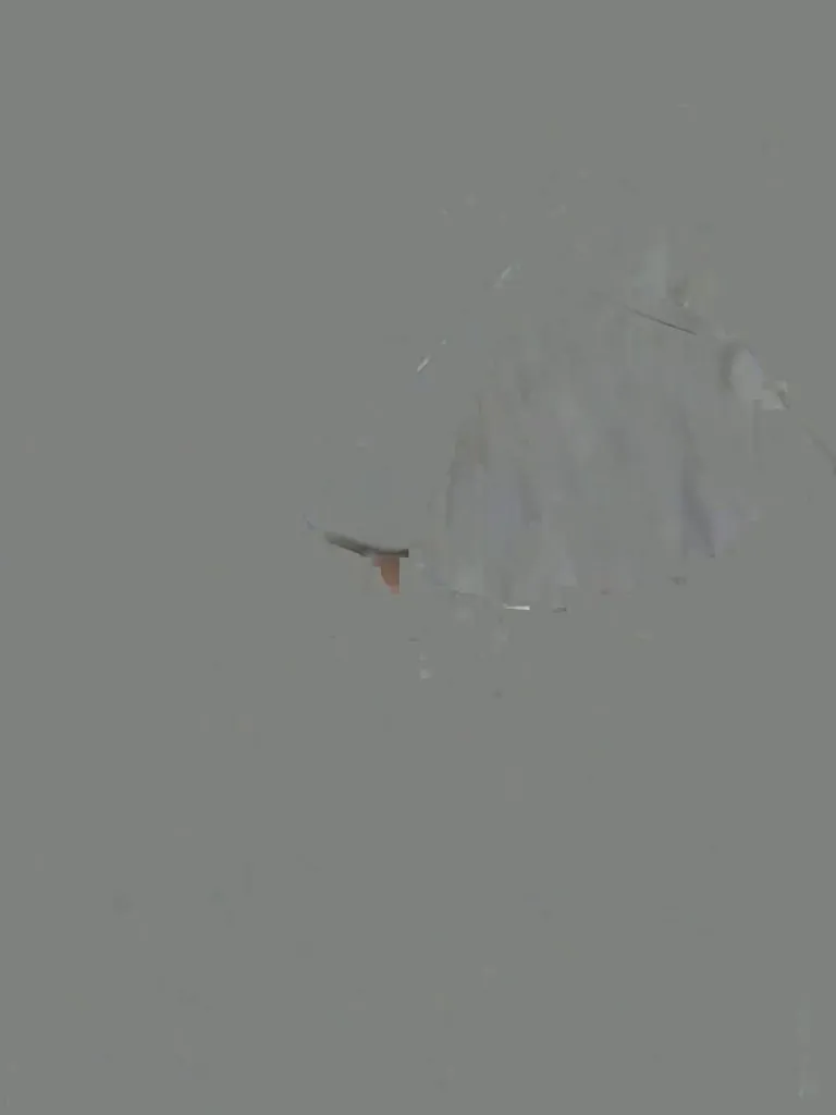 Feel the true taste of Africa