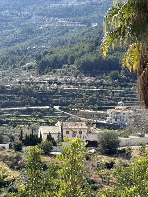 Visit to Spain: 2 weeks Alicante/Murcia/Barcelona