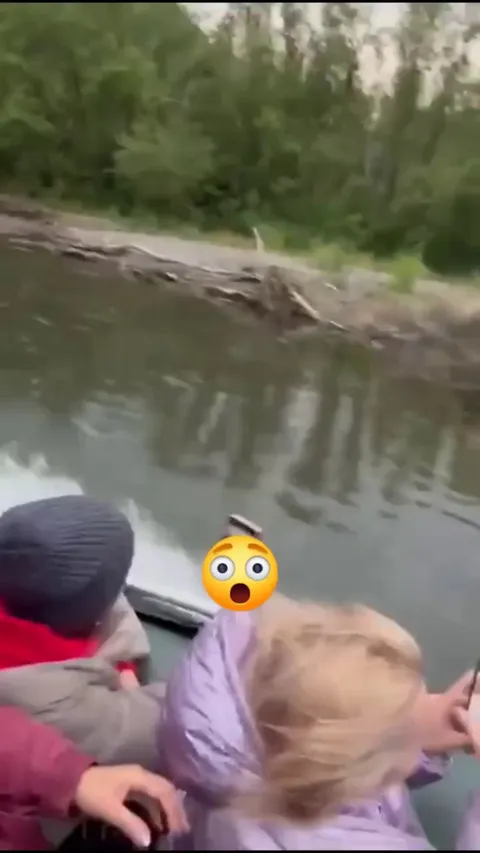 🔥 🔥 Casual day of a bear 🐻 chasing your boat 🚤 and family🔥 🔥 
