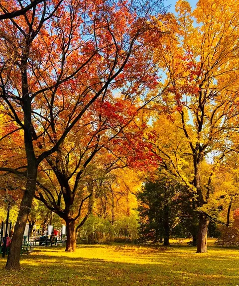 Autumn in Beijing