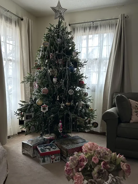 No point in lighting the tree