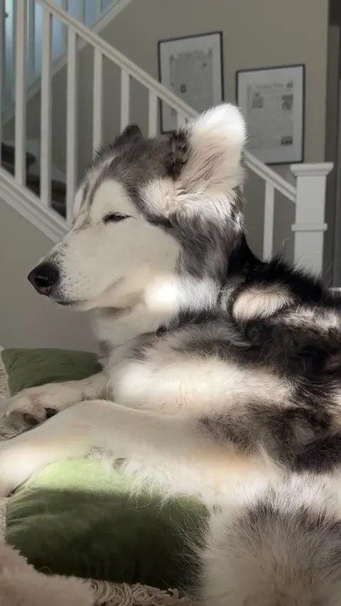 Too early and bright for the baby