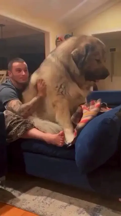 Look at this big boy