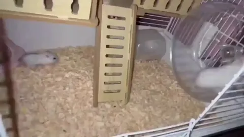 The kids won't let mum workout