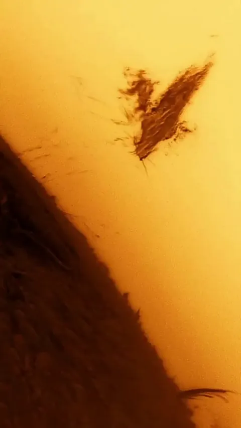 This is how the surface of the sun looks like