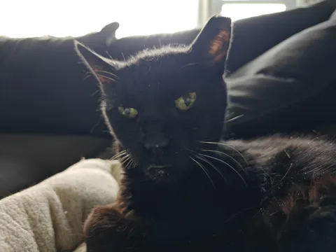 This is Bubba. Today's his birthday. He's 26