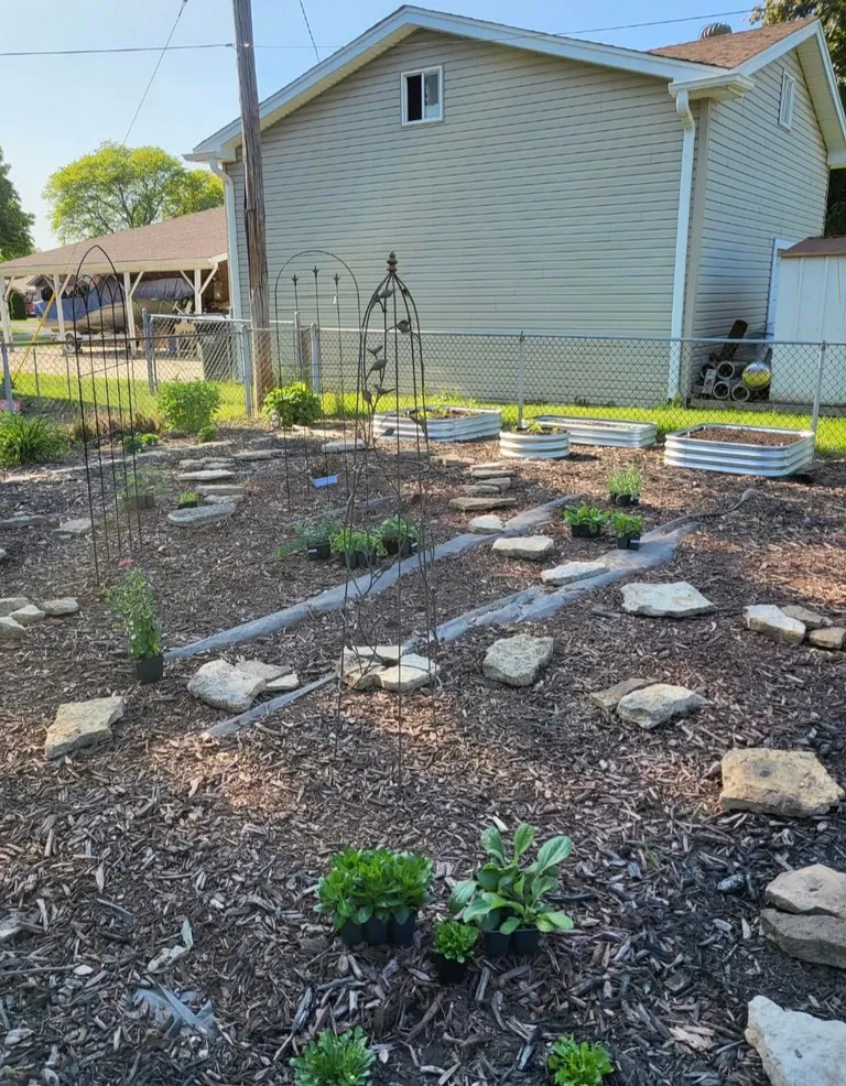 Transformed a small space behind my garage into my dream garden🌻2023 vs. 2024 