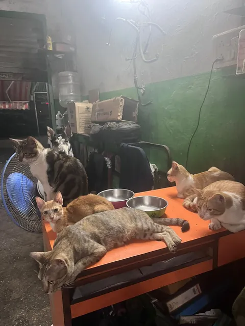 People asked for more photos of garage employees!