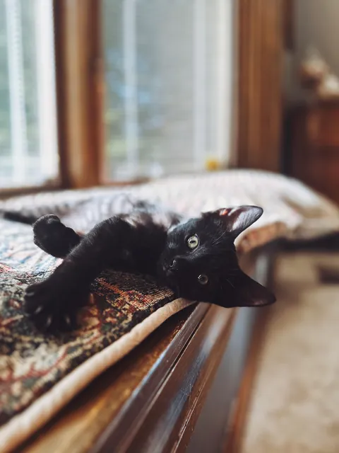 Don’t let your kids name your pets 😅😅