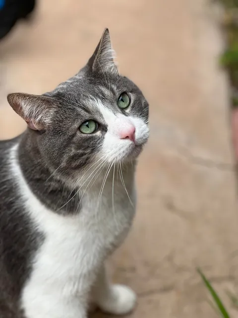 My first baby is gone