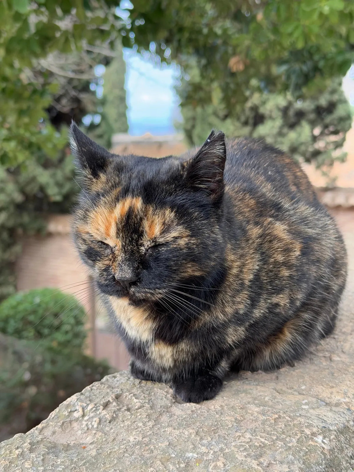 Andalucia (Spain) was truly exceptional