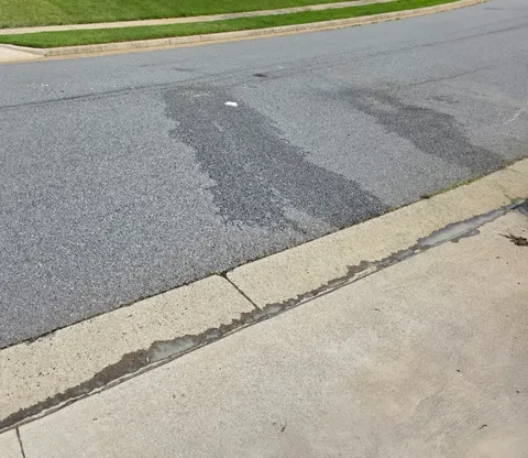 Every week the Garbage truck drains it's juices in front of my house