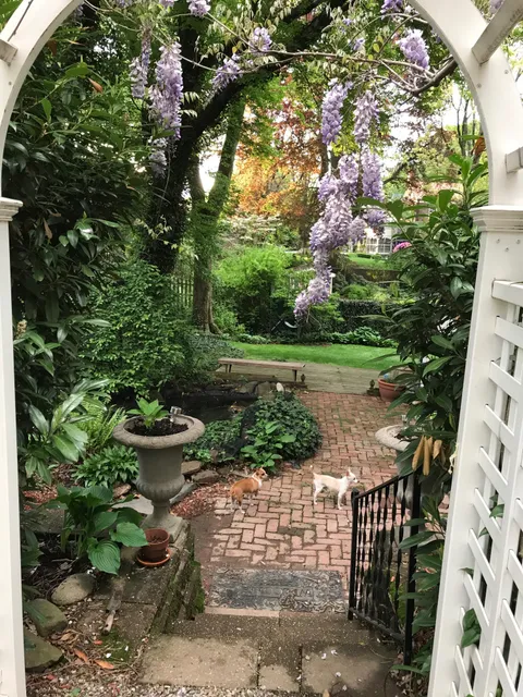 I was feeling really proud of my backyard this morning.