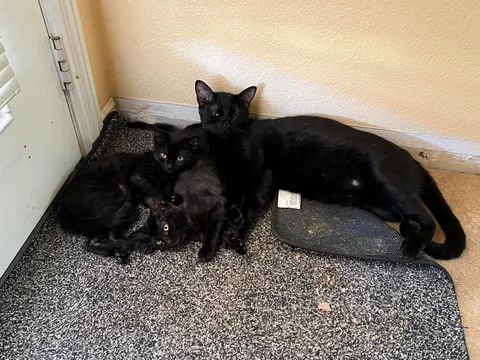 It’s hard being a single father 🖤