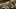Super soaker [MF] (hoomanex)