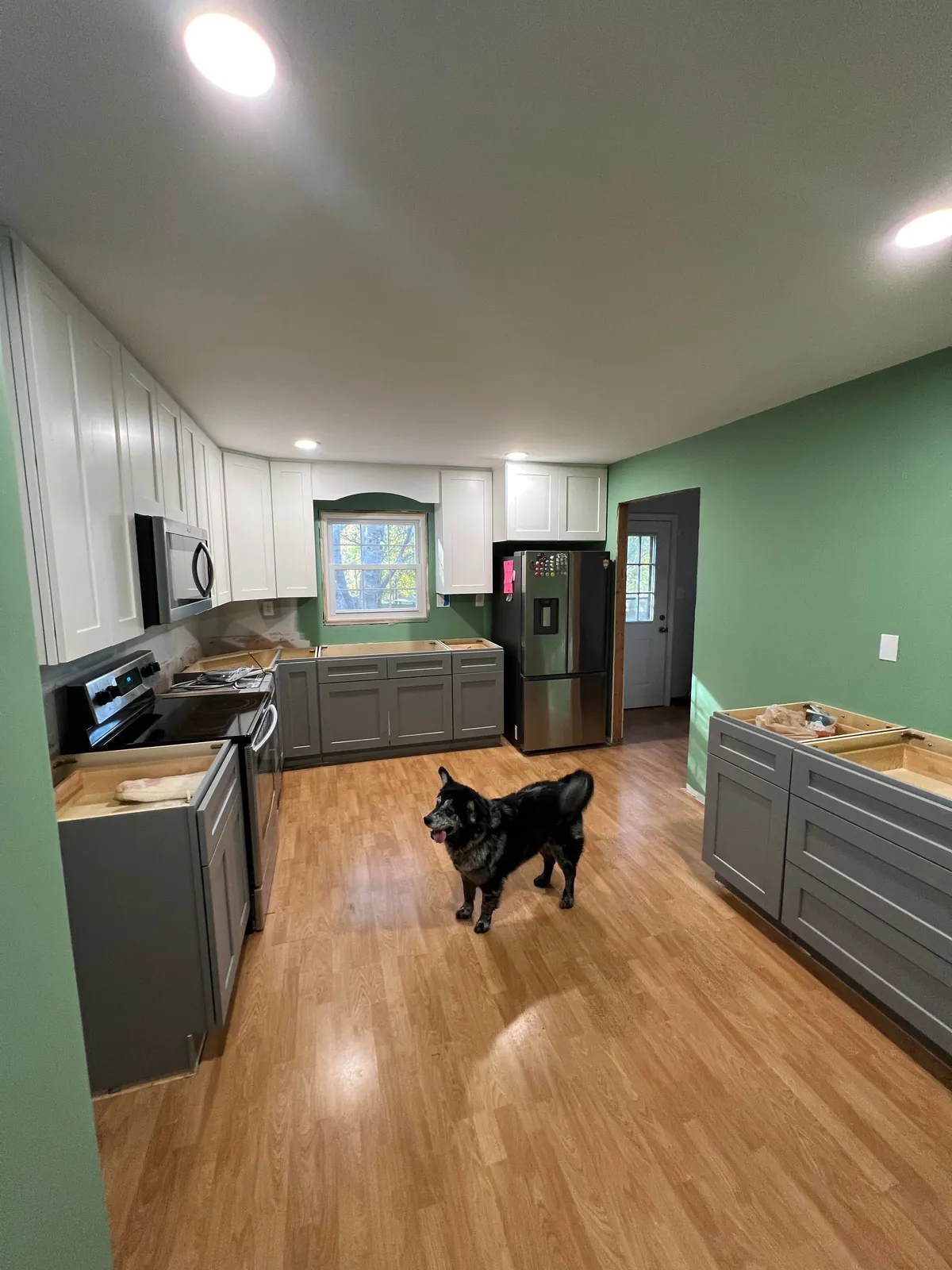 Full Kitchen Gut and Remodel in time for the Holidays. I'm tired. 