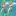 Bratty Skyward Sword Zelda (Octopode)