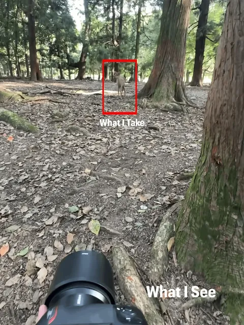 Photographer Shows His POV vs The Photos He Takes.