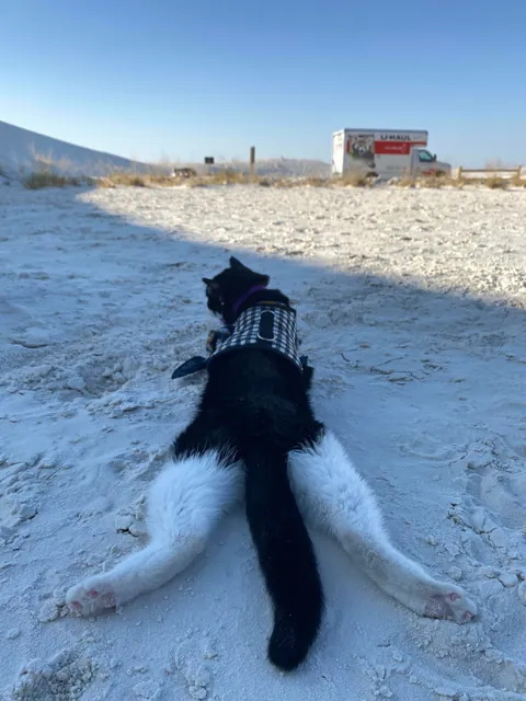 Compilation of my boi  being flat &lt;3