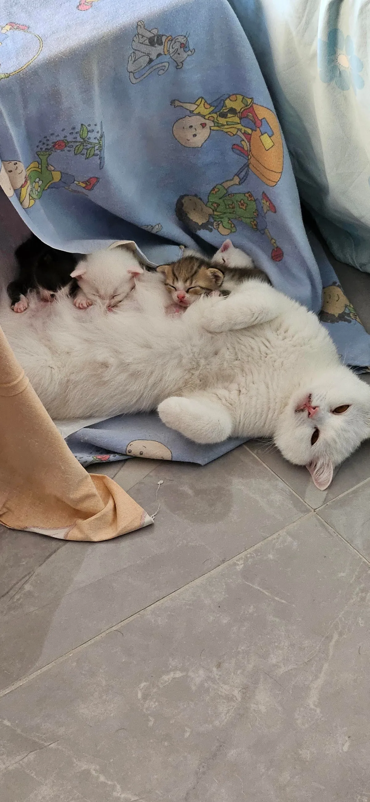 My Angel and her Angels