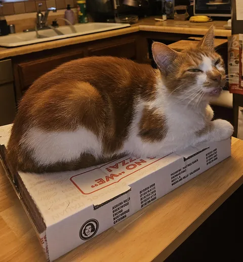 He's the delivery guy