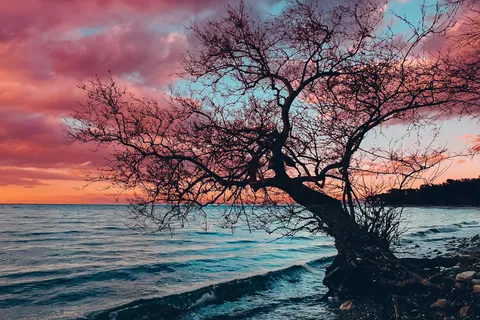 Earth, Wind, Fire and Water