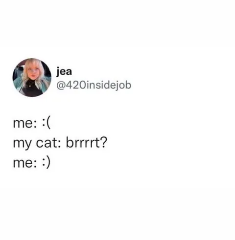 Cat used ”brrrrt?”! It was super effective!