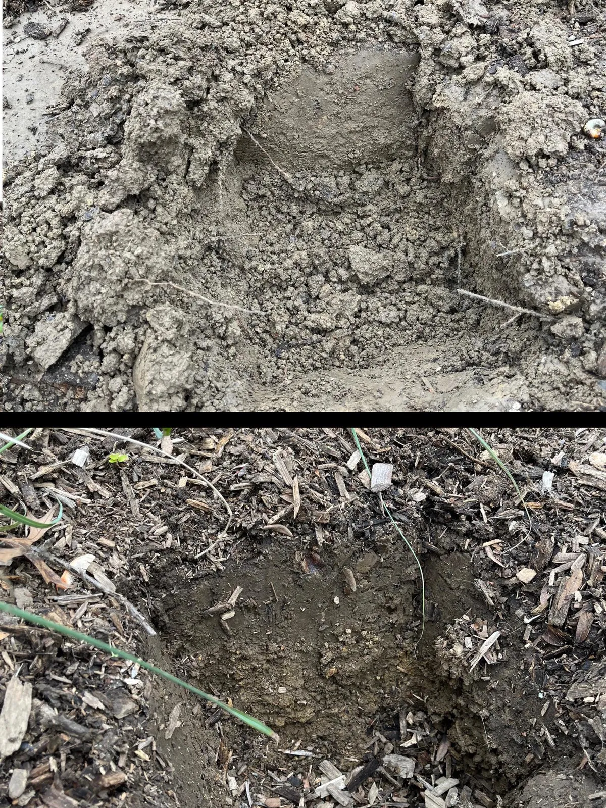 Why I’ll never use landscape fabric again