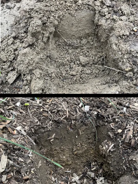 Why I’ll never use landscape fabric again