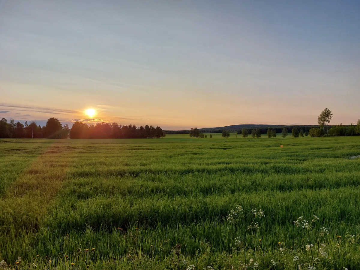 All I wanted was a house with a view and after 42 years I finally have this right outside my window