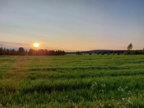 All I wanted was a house with a view and after 42 years I finally have this right outside my window