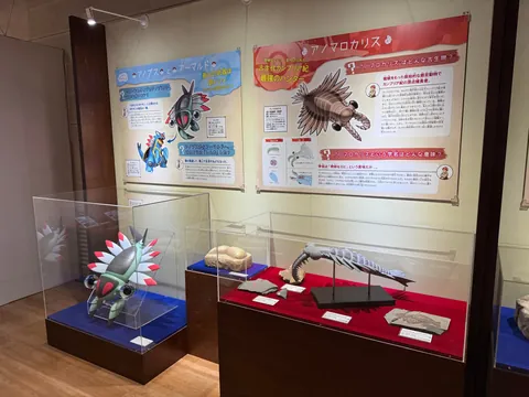 Took my son to the Pokemon Fossil Exhibit. Here are some pictures.