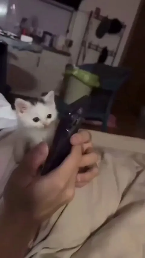 Bro is one step away from becoming influencer