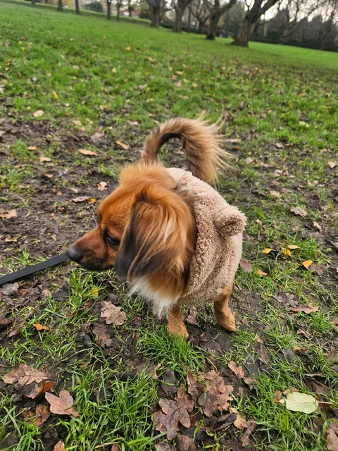 Kevin is contagious happiness in a small package