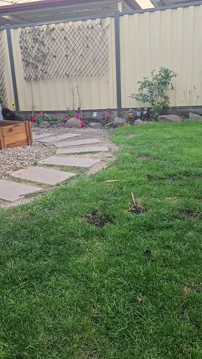 She really likes steak