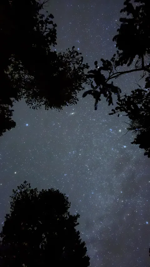 Captures the Andromeda Galaxy with my iPhone in Yellowstone