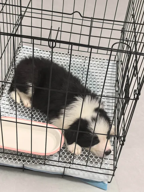 A new addition to the family!