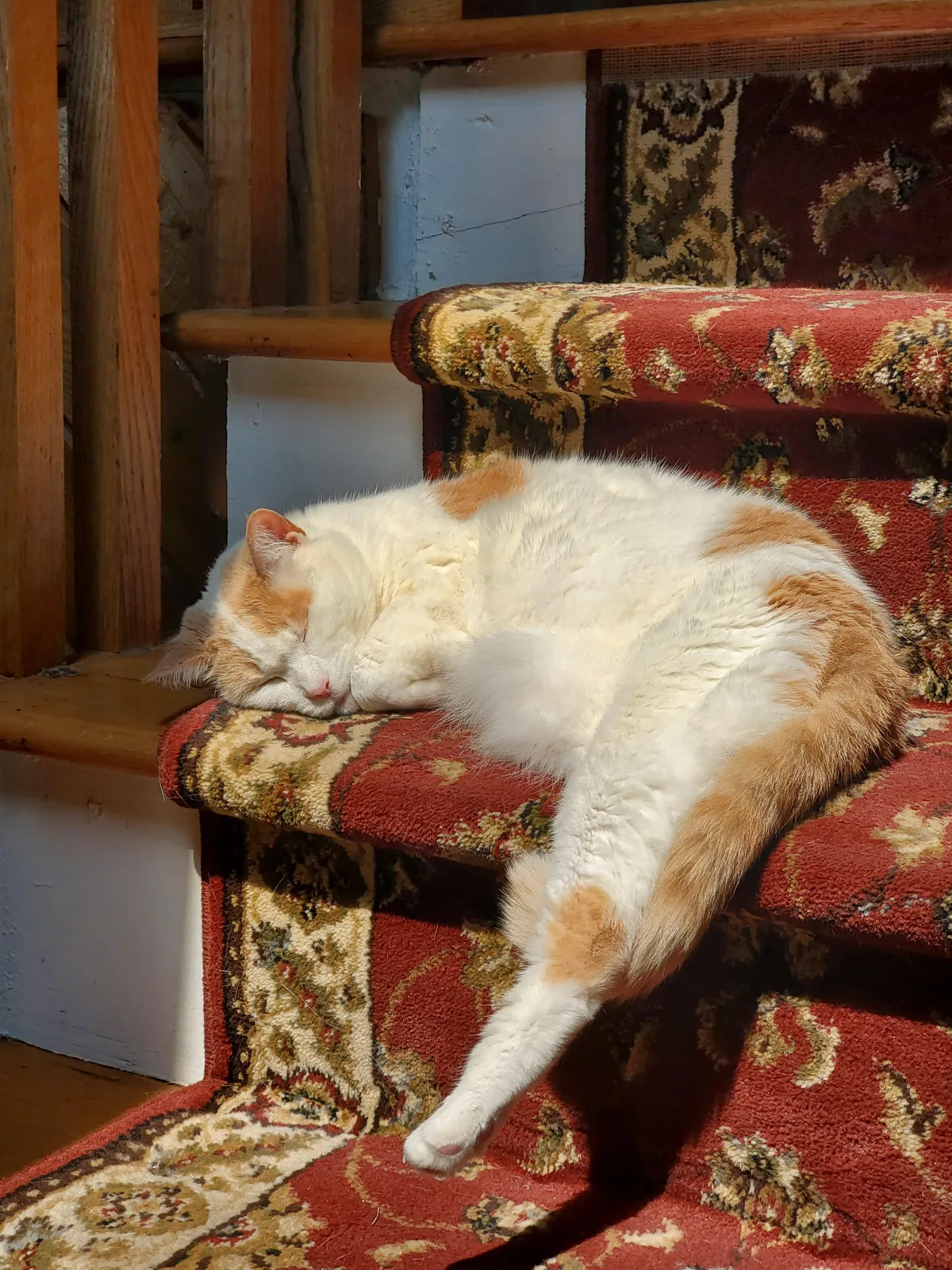 My sweet heart was diagnosed with cancer.