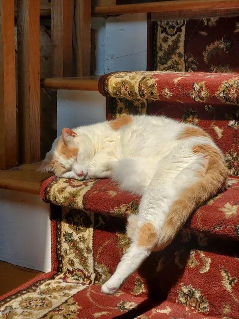 My sweet heart was diagnosed with cancer.