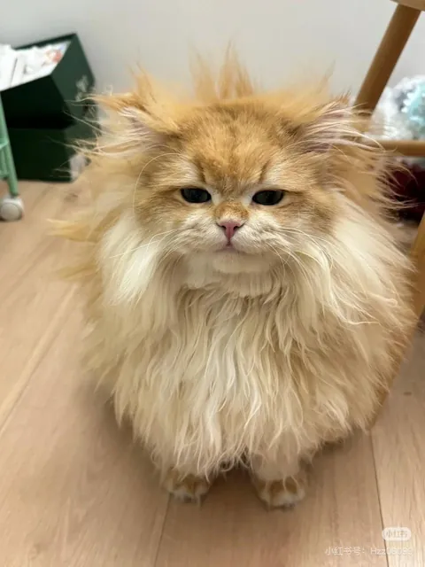 just wake up a little bit early