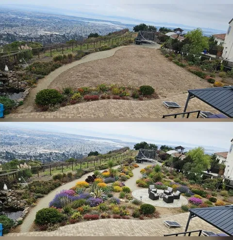 In the Bay Area, CA, what should I expect to pay to transform my yard like this
