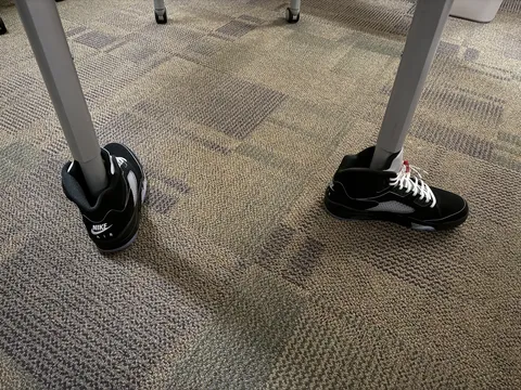 What you all rockin today?