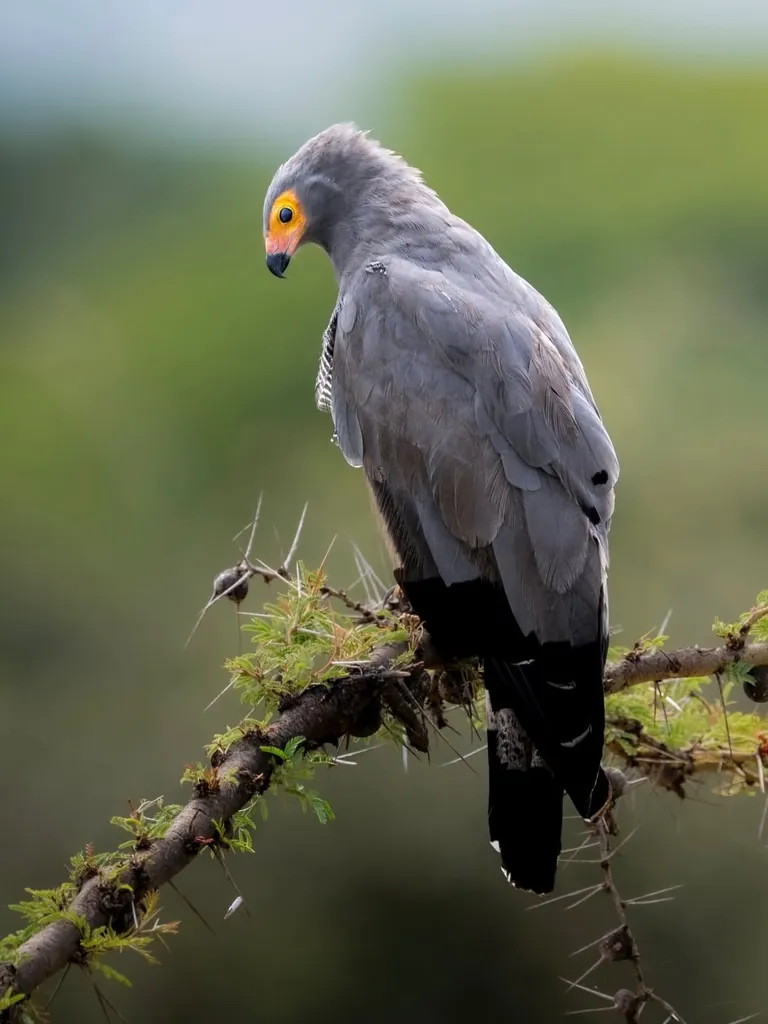 Photographer shows his POV vs the photos he takes.
