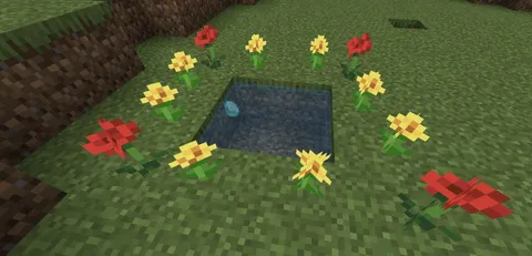 everyone talk about disappointment for the aether portal, am i the only one that got on this instead?