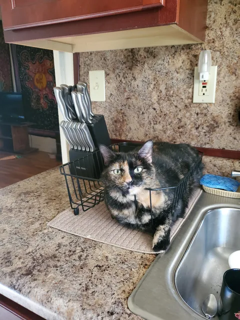 Came home from work and found her where she shouldn't be