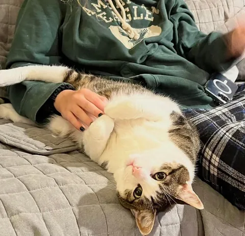 Rest easy my sweet boy Eli