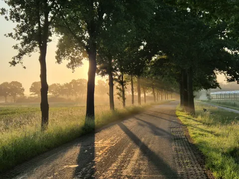 ITAP of sunshine through the trees