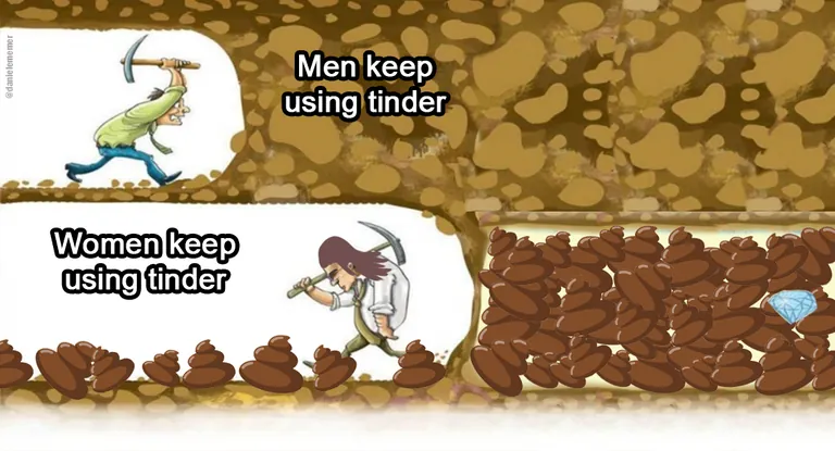 tinder in a nutshell