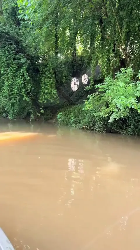 These beautiful spider webs caught in the perfect ray of light