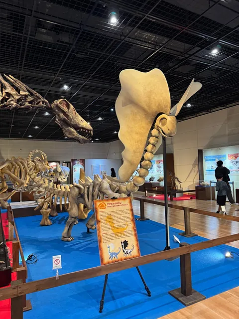 Took my son to the Pokemon Fossil Exhibit. Here are some pictures.